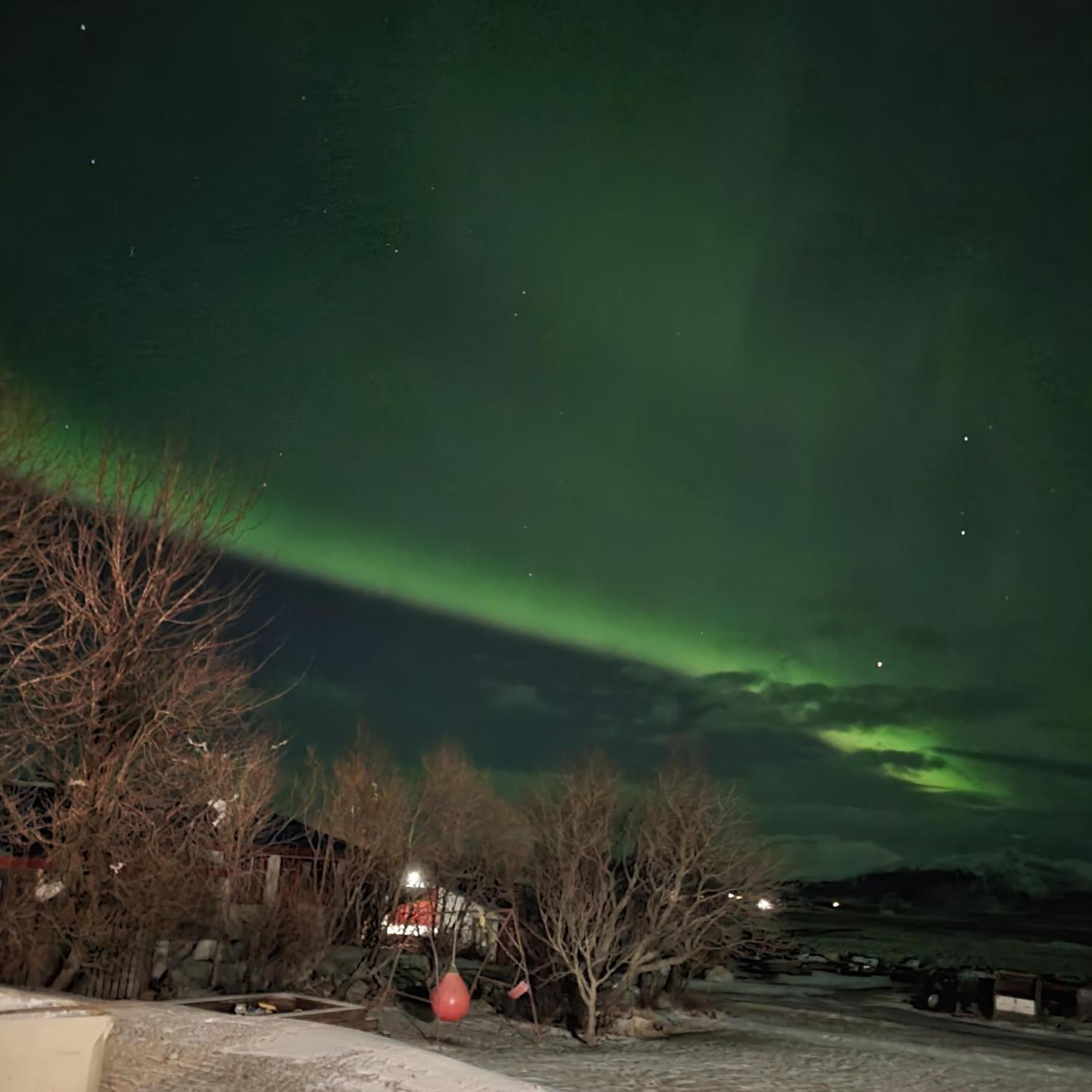 Brunnholl Country Guesthouse Höfn Eksteriør billede